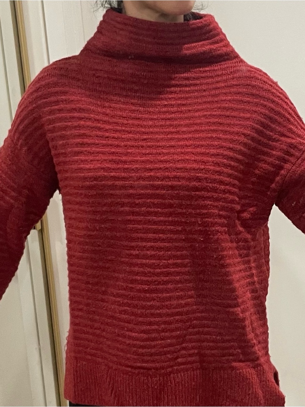 Madewell Ribbed Red Turtleneck Sweater